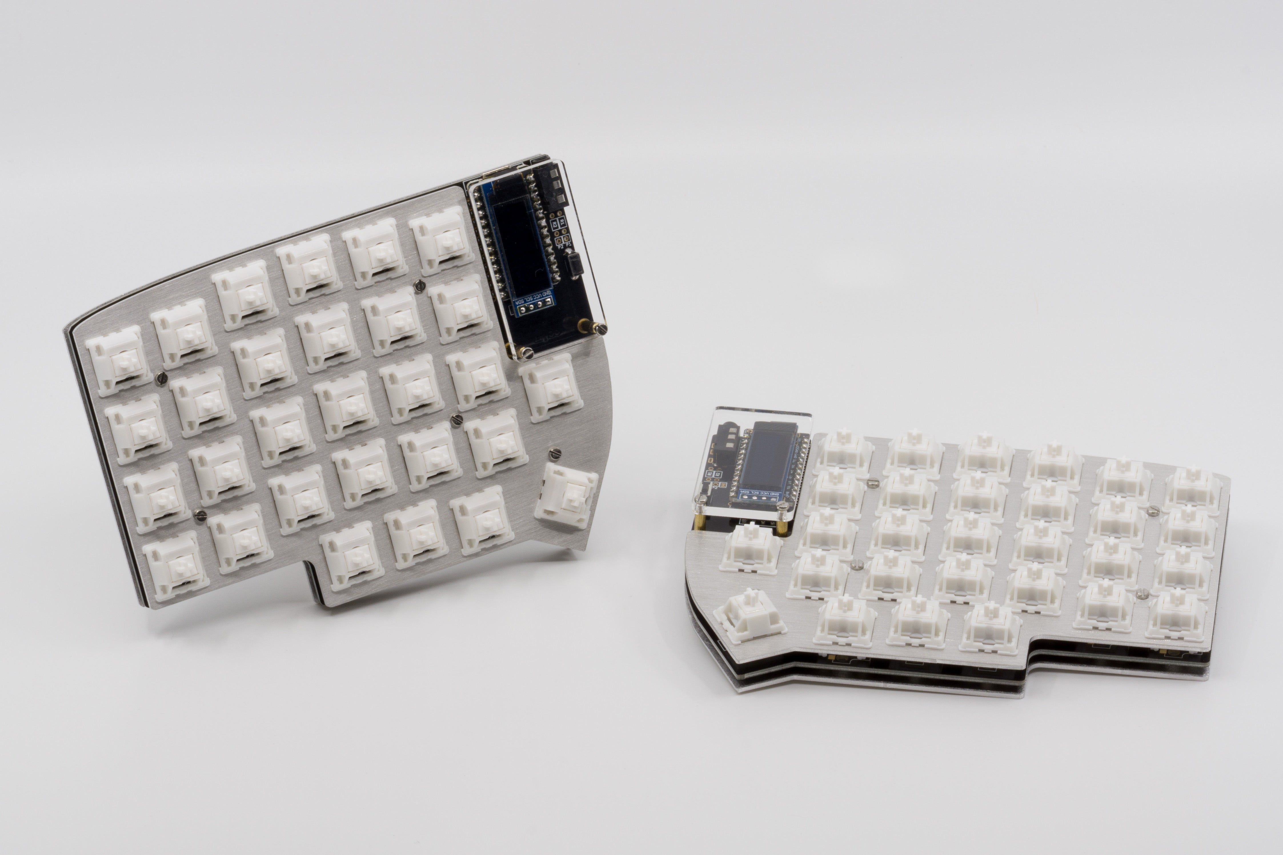 カナリア photo-1_0d8d59ce-17da-4bb8-